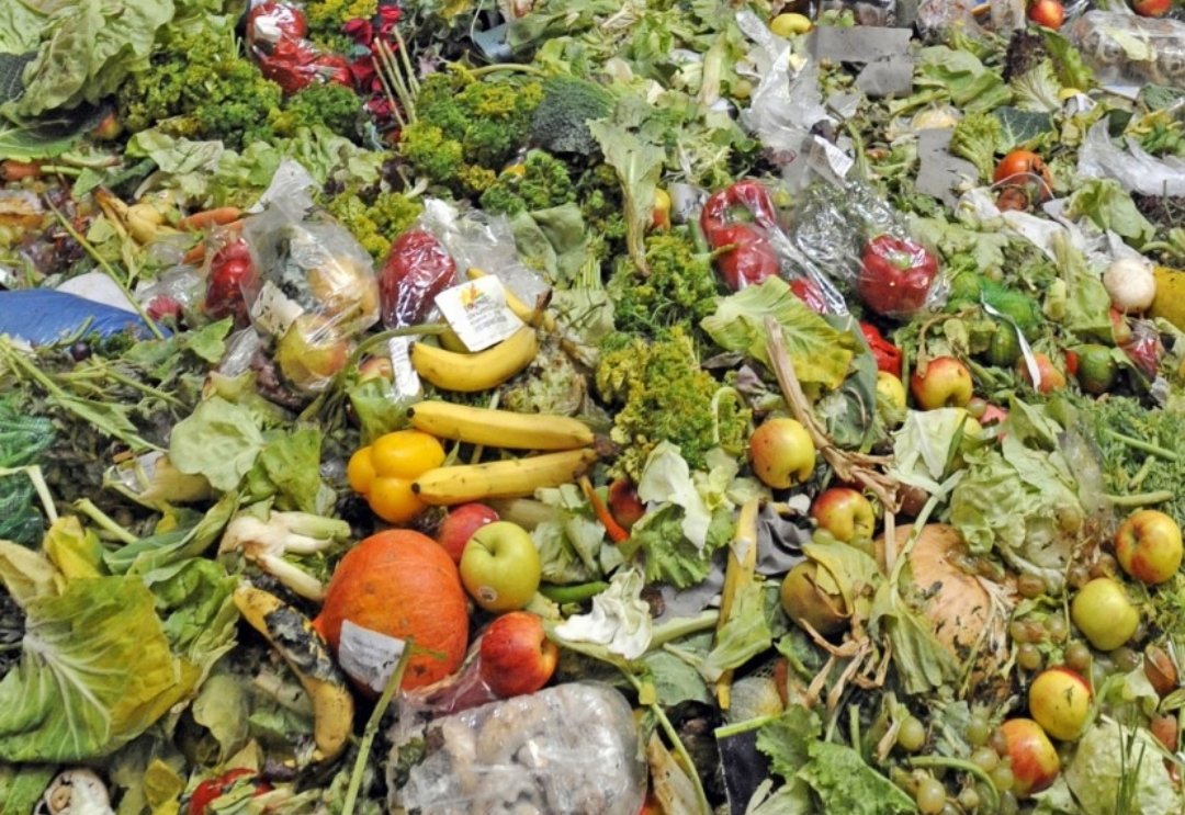 food waste- core fusion skip hire